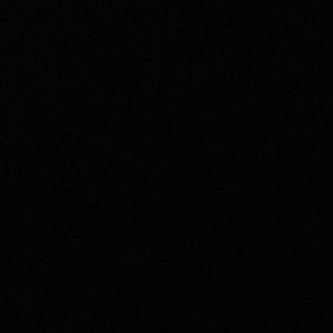 Meet your Posher, Lynn